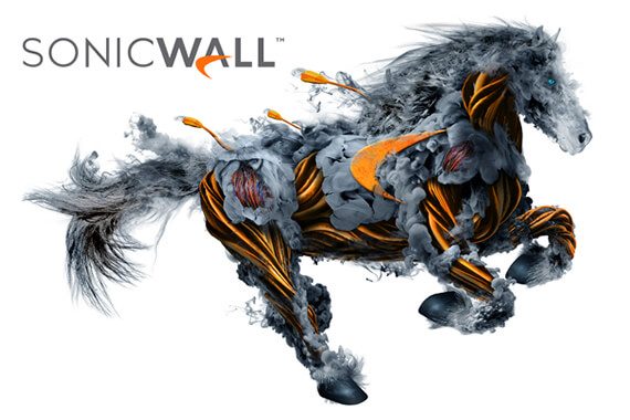 Sonicwall Destek